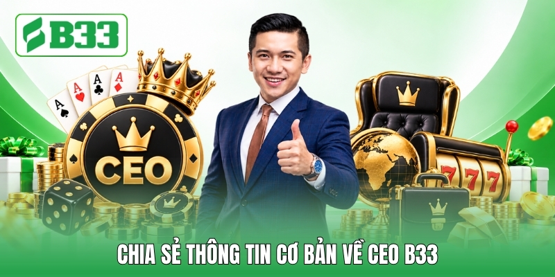 Chia sẻ thông tin cơ bản về CEO B33