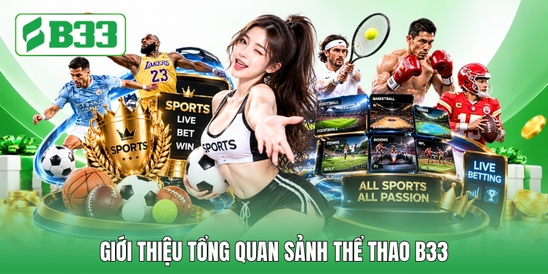 Giới thiệu tổng quan sảnh Thể thao B33